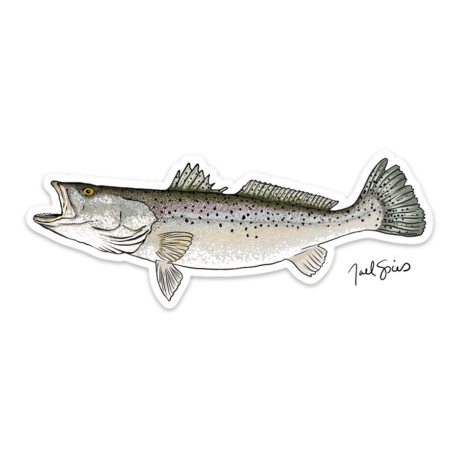 Speckled Trout Decal