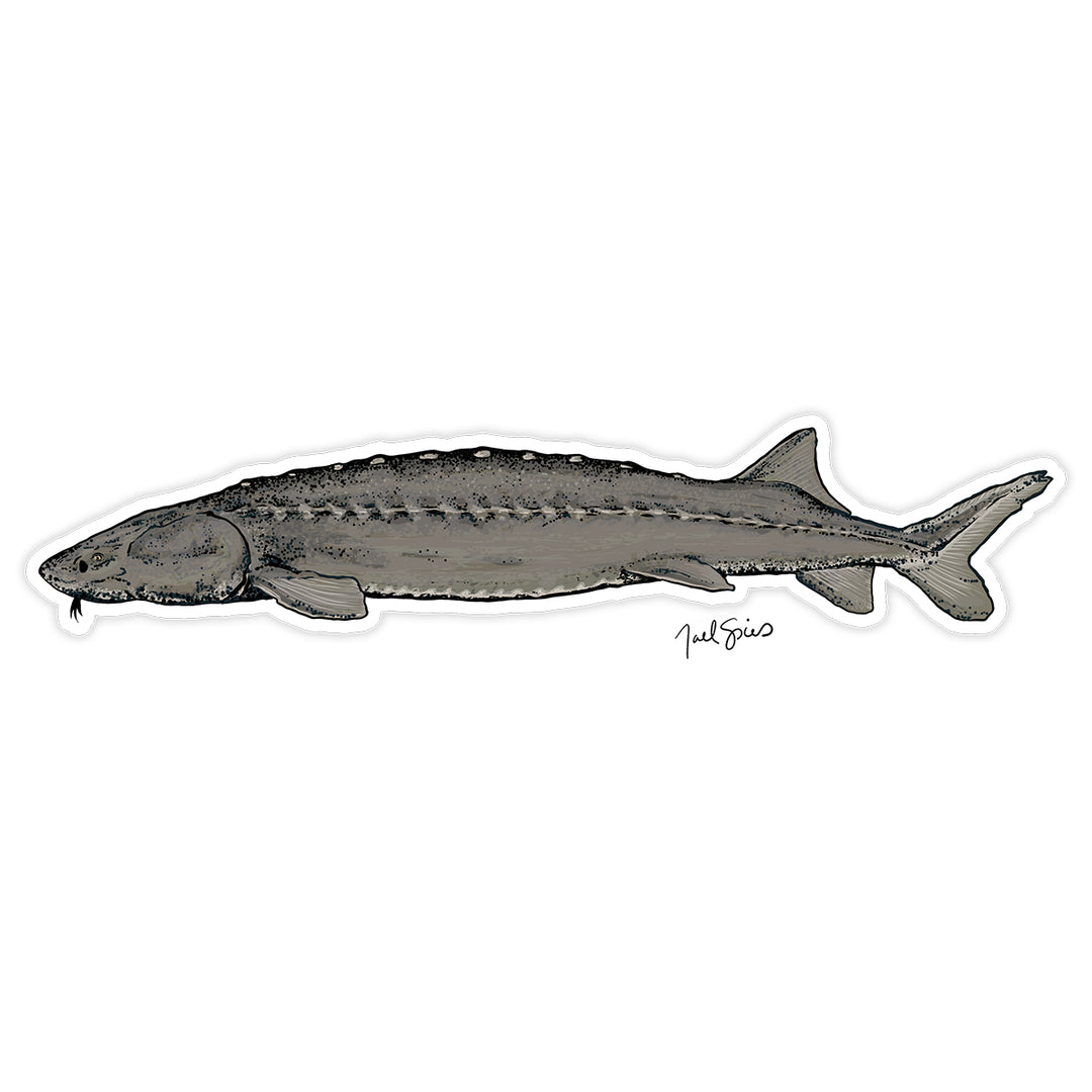 Sturgeon Decal