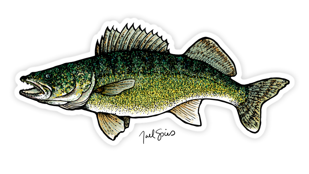 Walleye Decal – BruleBay