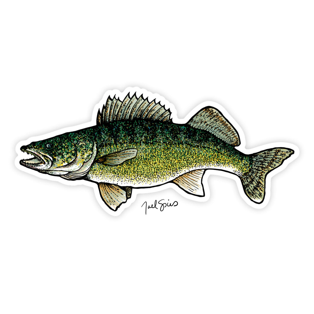 Walleye Decal