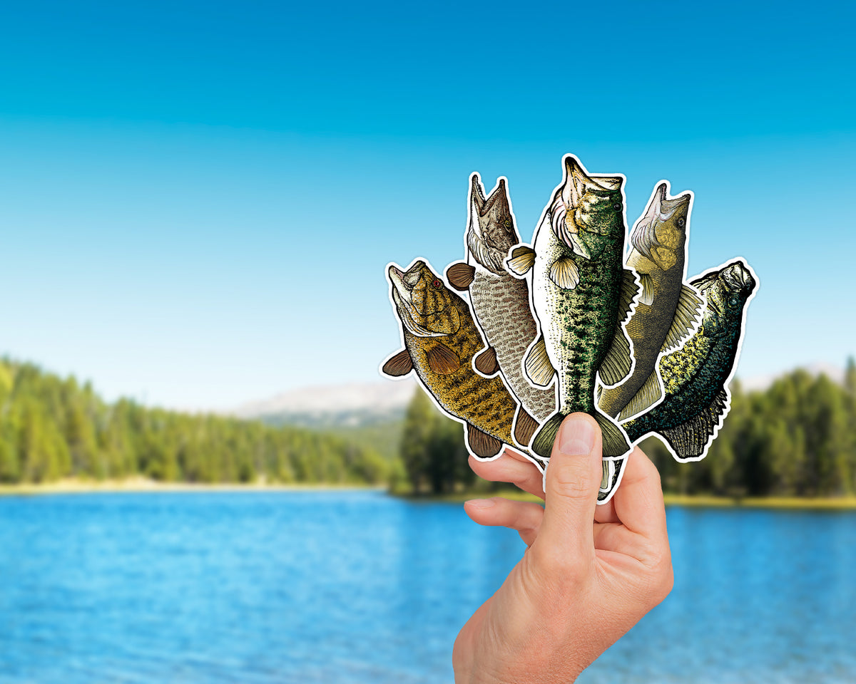 A hand holds a cluster of die-cut stickers shaped like five fish, set against a blurred background of a blue lake and green forest.