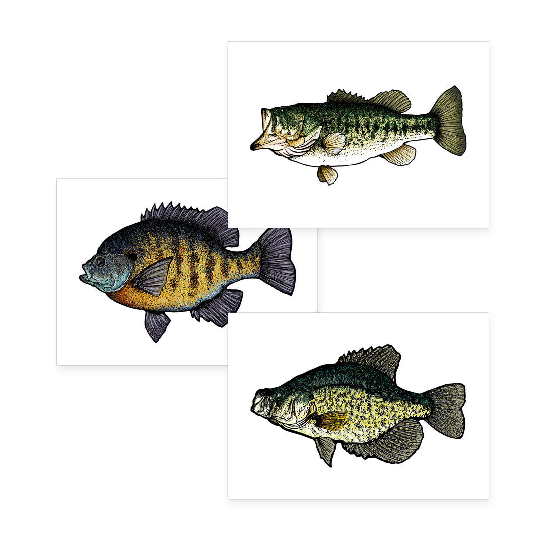 Build Your Own Print Bundle