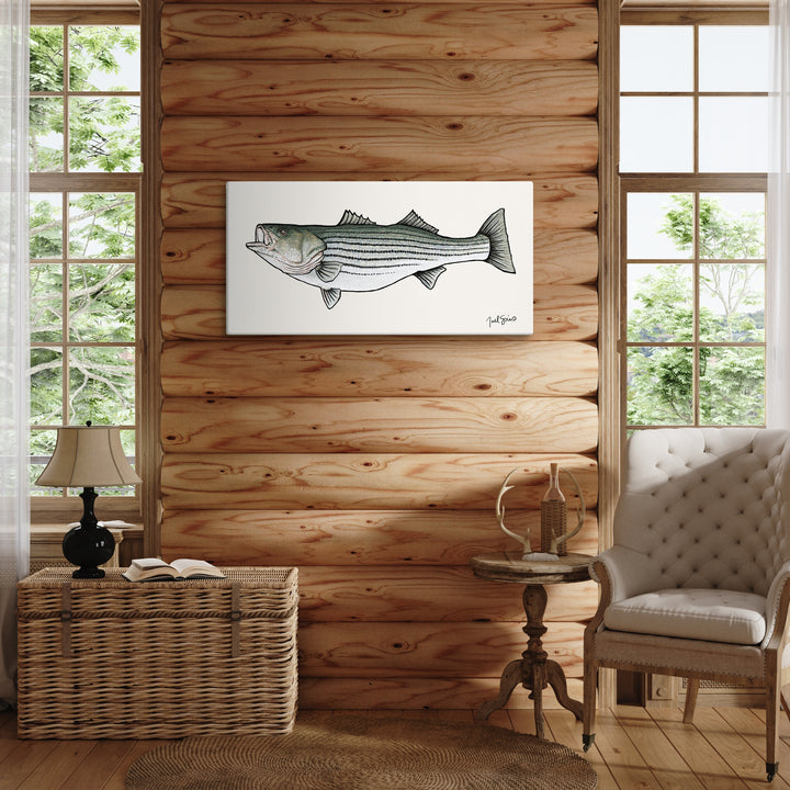 Stripped Bass Canvas Print