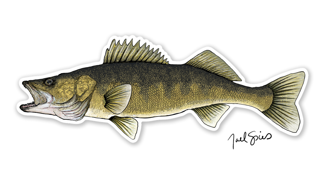 Walleye Decal 