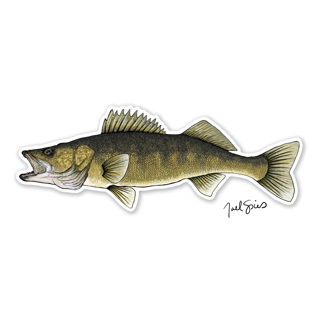 Walleye Decal 